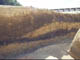FileNo.075b-006.jpg