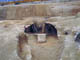 FileNo.075b-019.jpg