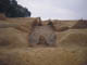 FileNo.075b-022.jpg