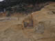 FileNo.075b-023.jpg