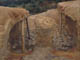 FileNo.075b-025.jpg