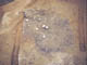 FileNo.075b-030.jpg