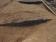 FileNo.075b-033.jpg