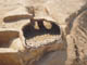 FileNo.075b-036.jpg