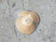 FileNo.076-003.jpg
