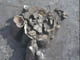 FileNo.076-004.jpg