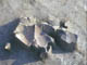 FileNo.076-009.jpg
