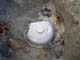 FileNo.076-014.jpg