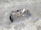 FileNo.077-006.jpg