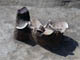 FileNo.077-007.jpg