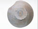 FileNo.077-045.jpg