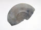 FileNo.077-047.jpg