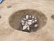 FileNo.078-009.jpg