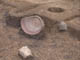FileNo.078-010.jpg