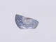 FileNo.078-076.jpg