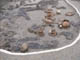 FileNo.079-001.jpg