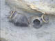 FileNo.079-004.jpg