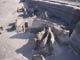 FileNo.079-011.jpg