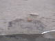 FileNo.079-027.jpg