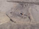 FileNo.079-029.jpg