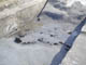 FileNo.079-034.jpg
