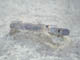 FileNo.079-038.jpg