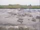 FileNo.079-048.jpg