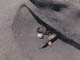FileNo.079-061.jpg