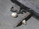 FileNo.079-062.jpg