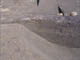FileNo.079-063.jpg