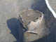 FileNo.079-071.jpg