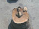 FileNo.079-077.jpg