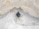 FileNo.079-081.jpg