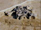 FileNo.079-092.jpg