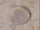 FileNo.079-110.jpg