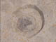 FileNo.079-112.jpg