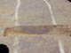 FileNo.079-123.jpg