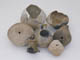 FileNo.079-126.jpg