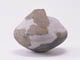 FileNo.079-132.jpg