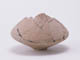 FileNo.079-226.jpg