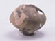 FileNo.079-231.jpg