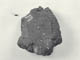 FileNo.079-238.jpg