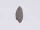 FileNo.079-246.jpg