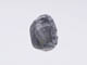 FileNo.079-262.jpg