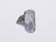 FileNo.079-263.jpg