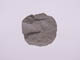 FileNo.079-283.jpg