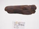 FileNo.079-287.jpg