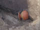 FileNo.080-010.jpg