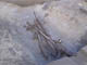 FileNo.080-027.jpg