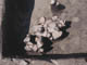 FileNo.080-034.jpg